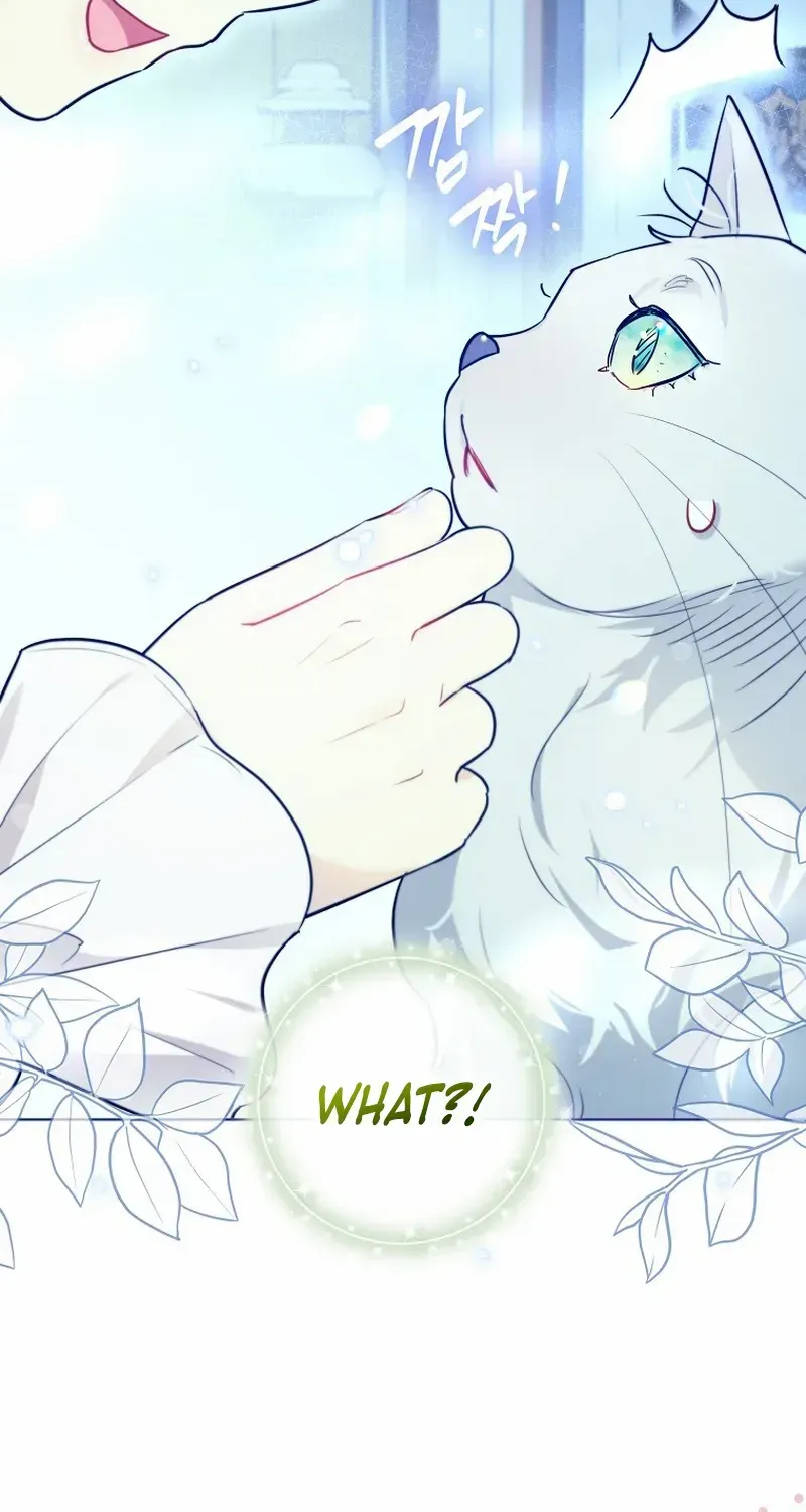Even Though I Transmigrated as a Villainess, I’d Rather Raise a Cat Chapter 35 page 7 - 