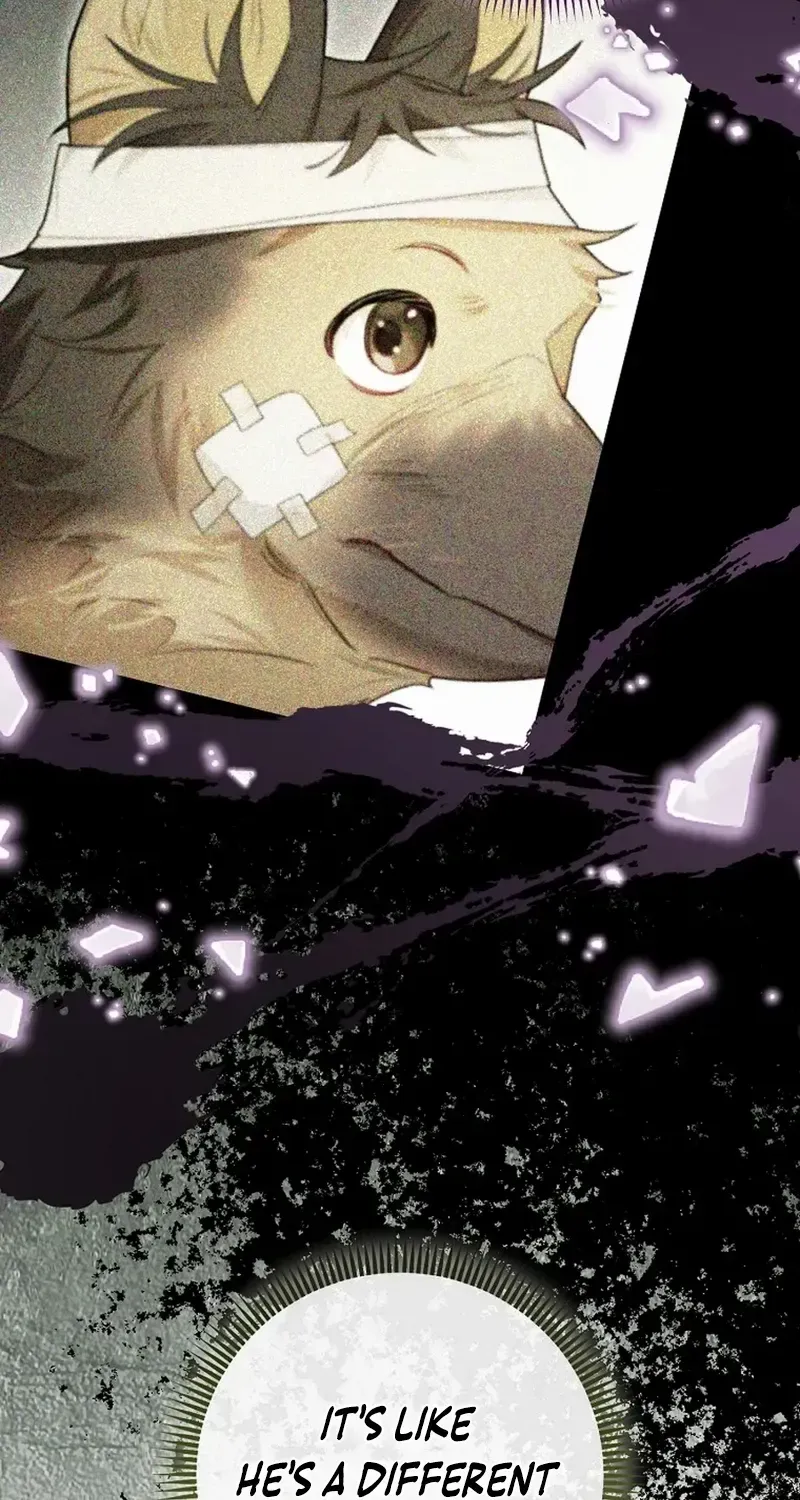 Even Though I Transmigrated as a Villainess, I’d Rather Raise a Cat Chapter 36 page 60 - 