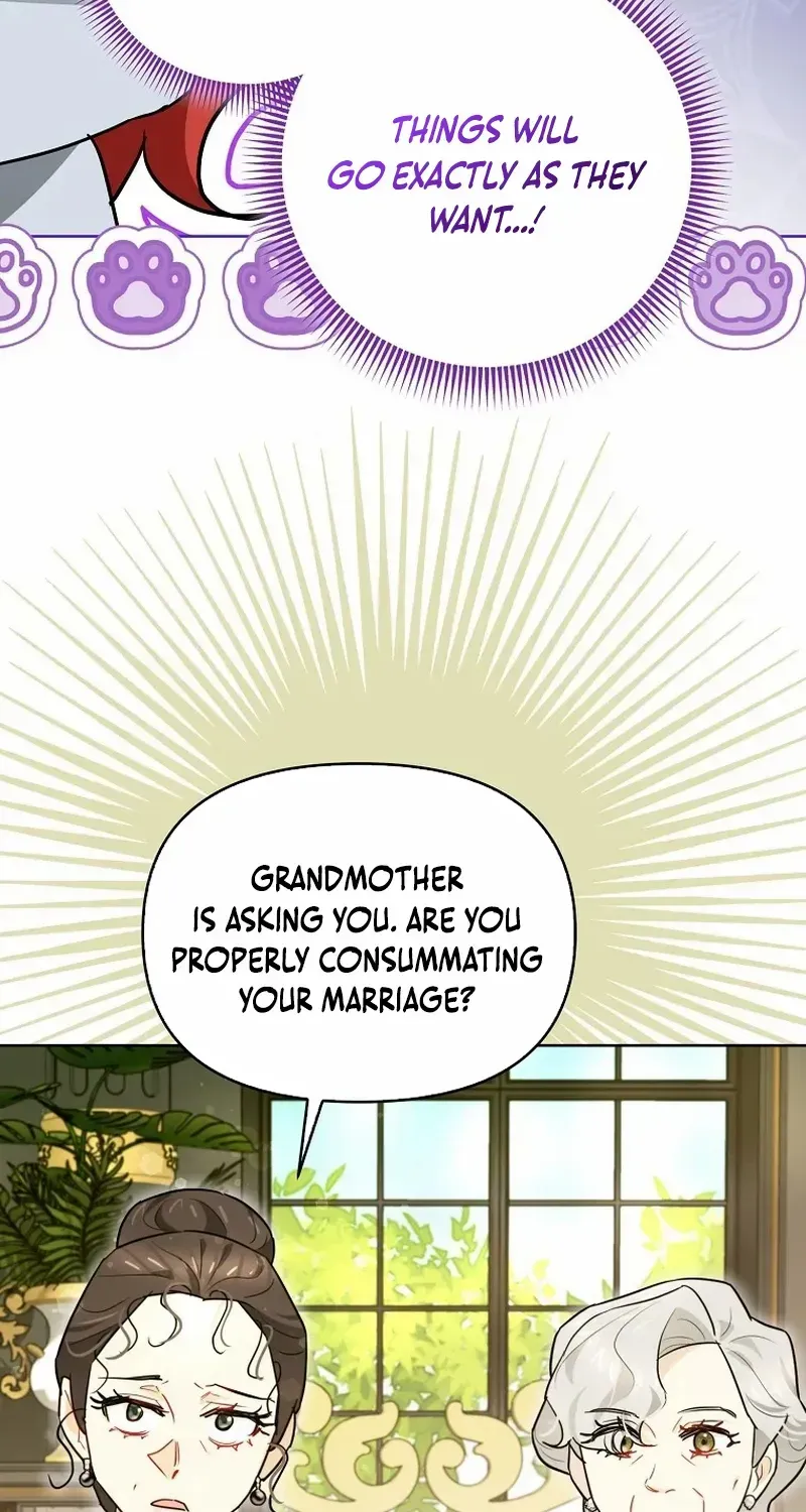 Even Though I Transmigrated as a Villainess, I’d Rather Raise a Cat Chapter 37 page 58 - 