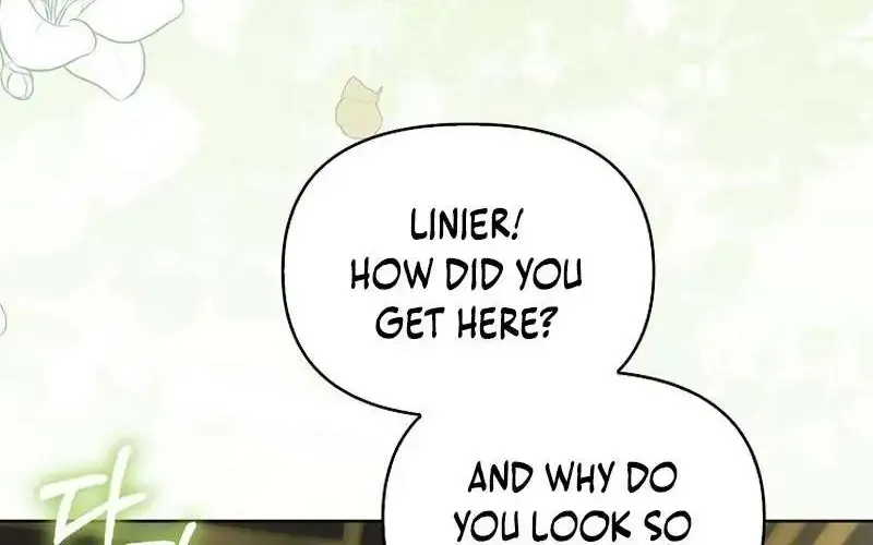 Even Though I Transmigrated as a Villainess, I’d Rather Raise a Cat Chapter 4 page 38 - 
