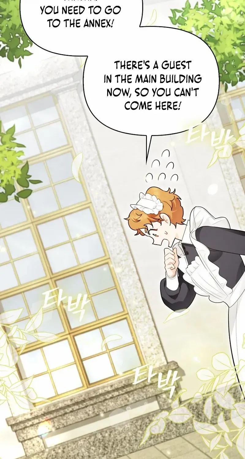 Even Though I Transmigrated as a Villainess, I’d Rather Raise a Cat Chapter 40 page 2 - 