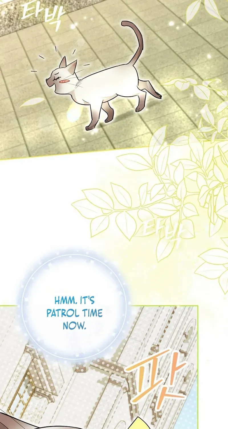 Even Though I Transmigrated as a Villainess, I’d Rather Raise a Cat Chapter 40 page 3 - 