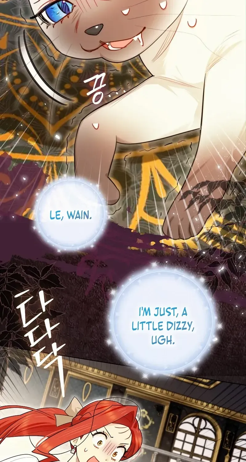 Even Though I Transmigrated as a Villainess, I’d Rather Raise a Cat Chapter 40 page 33 - 