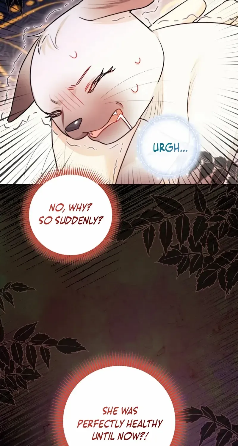 Even Though I Transmigrated as a Villainess, I’d Rather Raise a Cat Chapter 40 page 35 - 