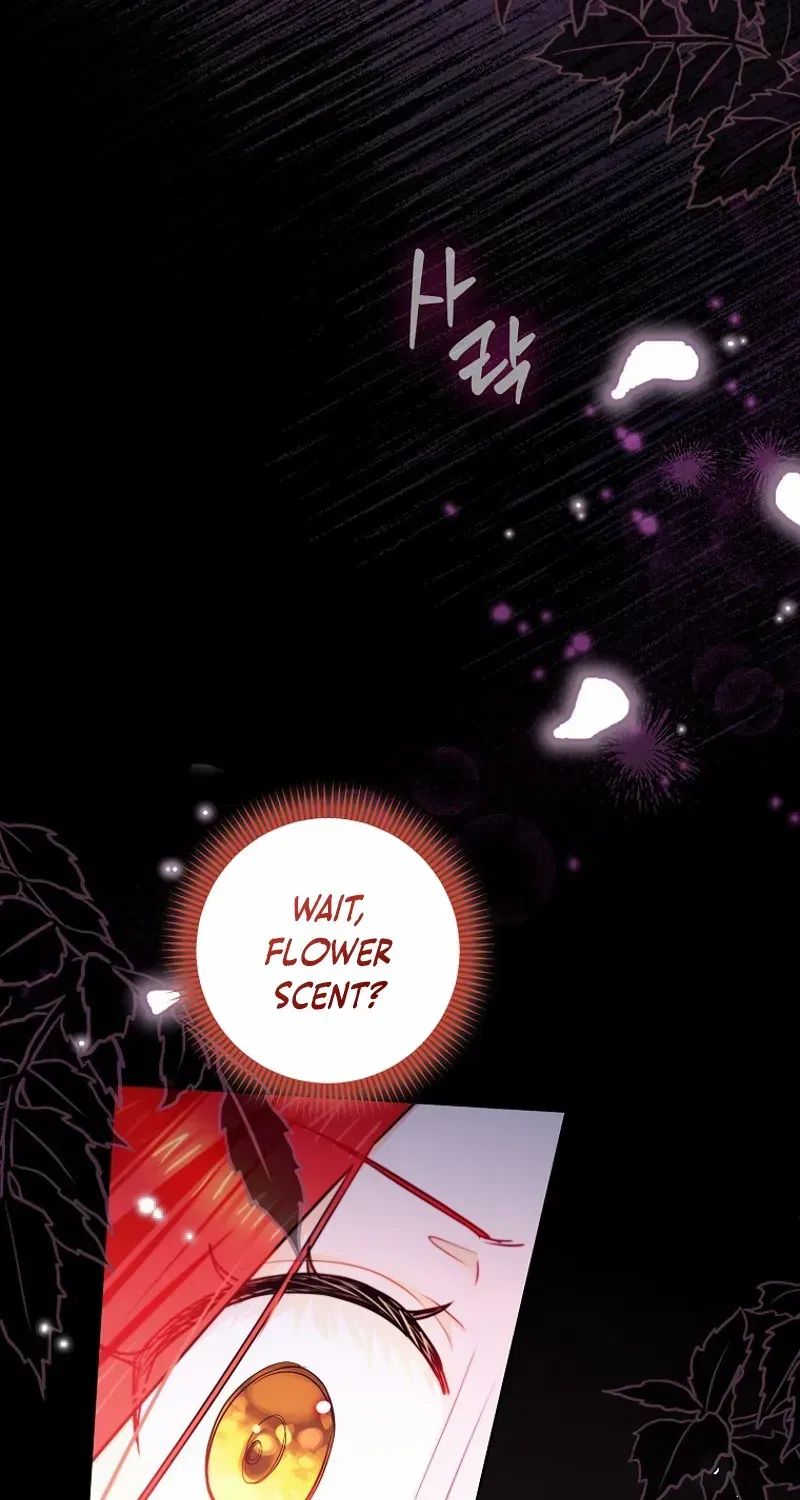 Even Though I Transmigrated as a Villainess, I’d Rather Raise a Cat Chapter 40 page 37 - 