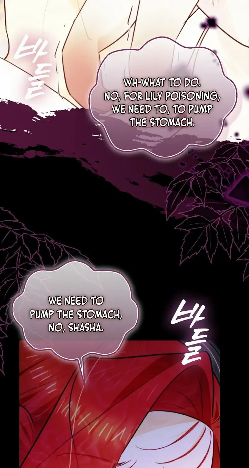 Even Though I Transmigrated as a Villainess, I’d Rather Raise a Cat Chapter 40 page 47 - 