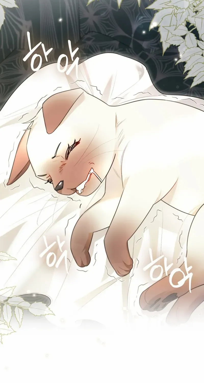 Even Though I Transmigrated as a Villainess, I’d Rather Raise a Cat Chapter 40 page 59 - 