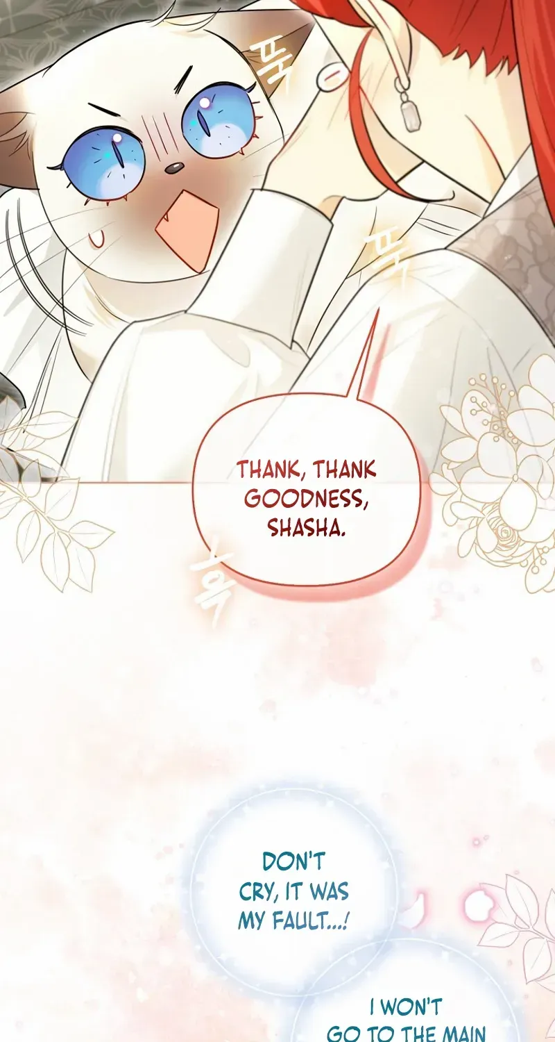Even Though I Transmigrated as a Villainess, I’d Rather Raise a Cat Chapter 40 page 68 - 