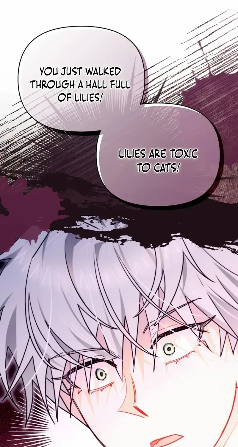 Even Though I Transmigrated as a Villainess, I’d Rather Raise a Cat Chapter 41 page 13 - 