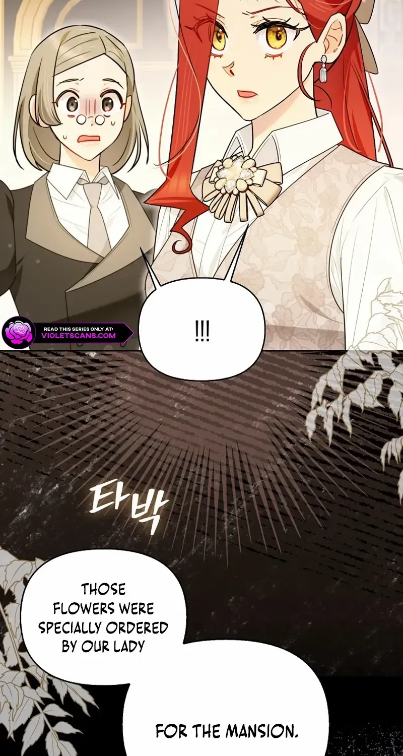 Even Though I Transmigrated as a Villainess, I’d Rather Raise a Cat Chapter 41 page 41 - 