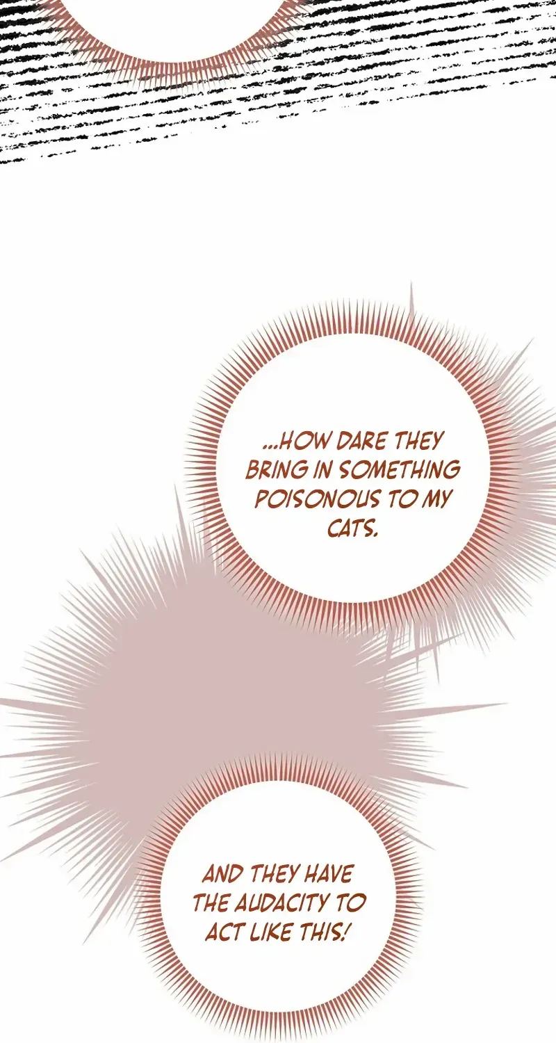Even Though I Transmigrated as a Villainess, I’d Rather Raise a Cat Chapter 41 page 43 - 