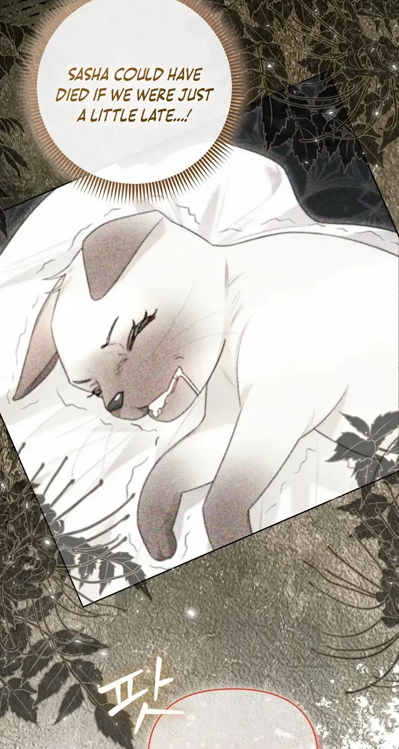 Even Though I Transmigrated as a Villainess, I’d Rather Raise a Cat Chapter 41 page 68 - 