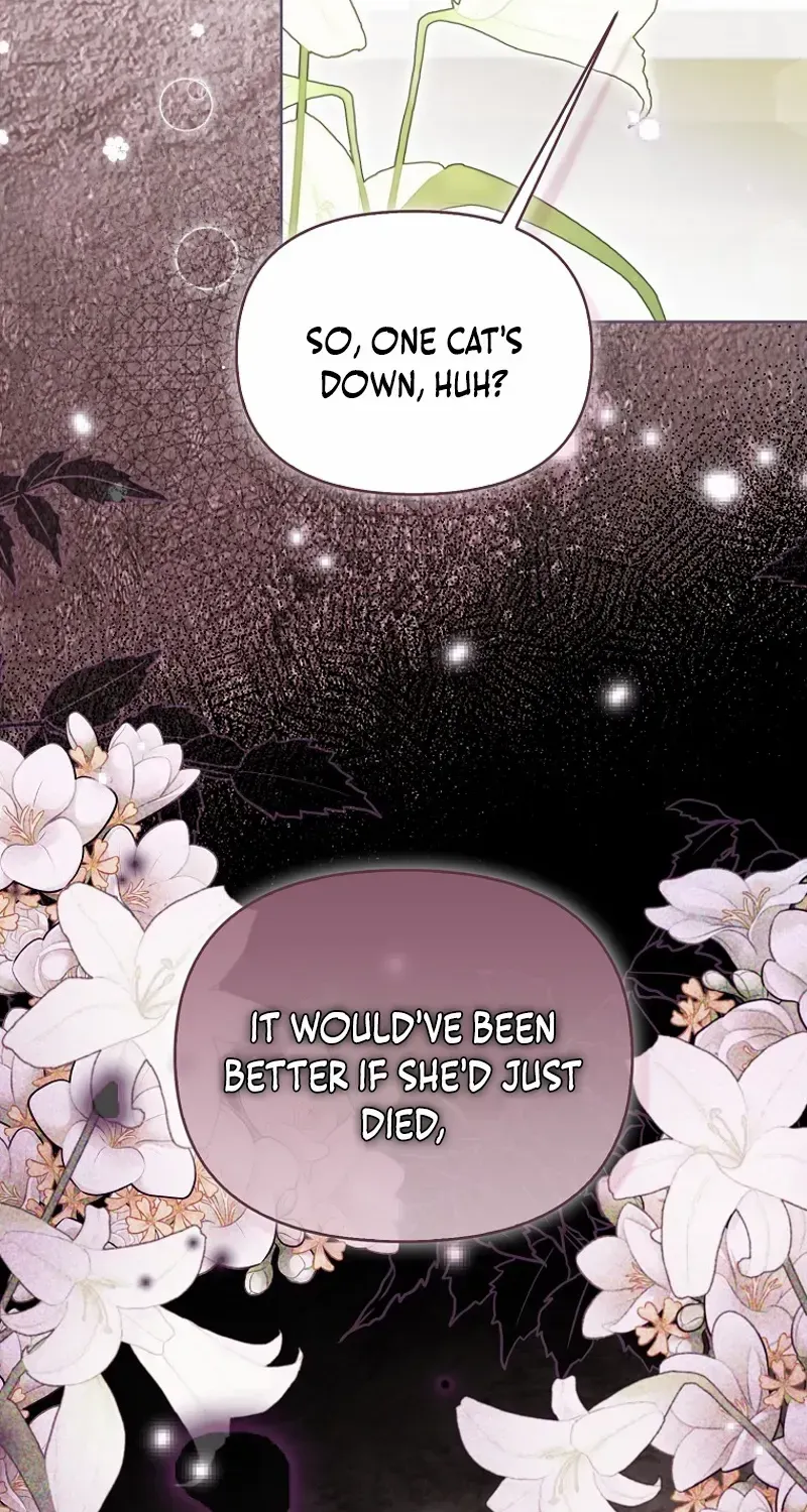 Even Though I Transmigrated as a Villainess, I’d Rather Raise a Cat Chapter 42 page 37 - 