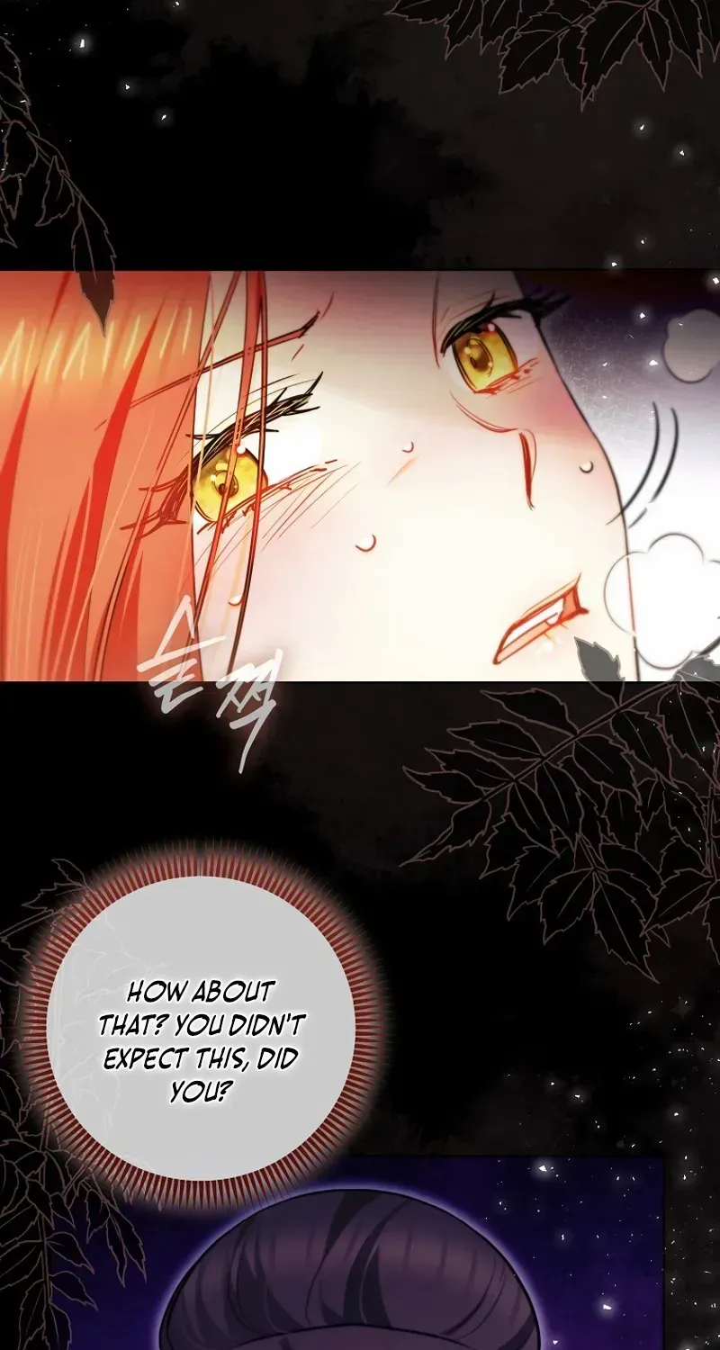 Even Though I Transmigrated as a Villainess, I’d Rather Raise a Cat Chapter 43 page 13 - 
