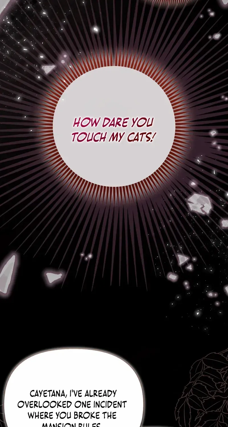 Even Though I Transmigrated as a Villainess, I’d Rather Raise a Cat Chapter 43 page 15 - 