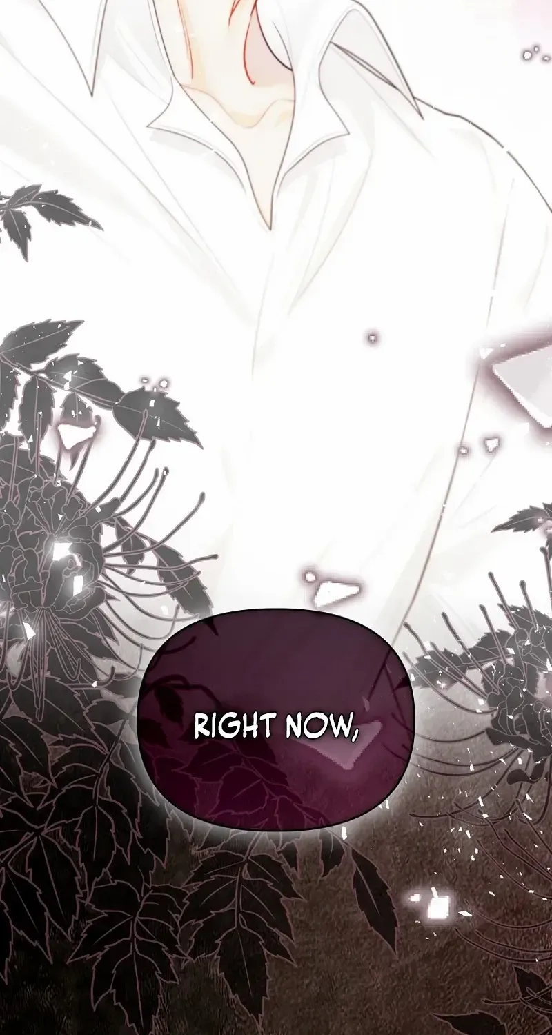 Even Though I Transmigrated as a Villainess, I’d Rather Raise a Cat Chapter 43 page 70 - 