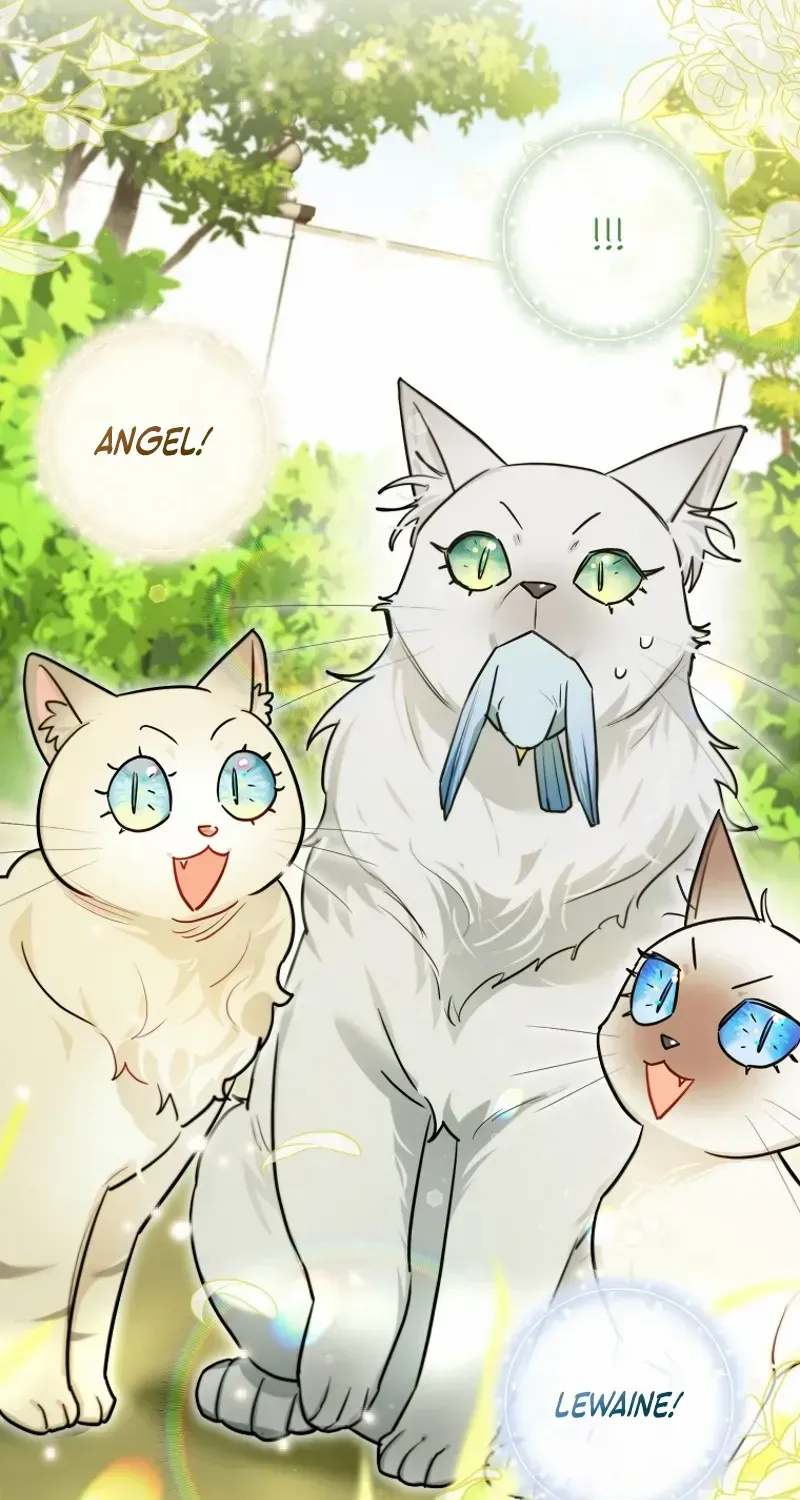 Even Though I Transmigrated as a Villainess, I’d Rather Raise a Cat Chapter 44 page 35 - 