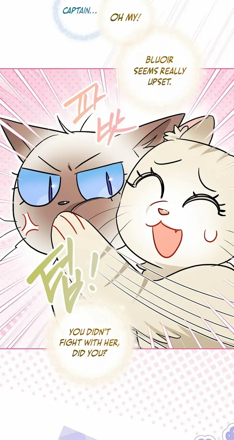 Even Though I Transmigrated as a Villainess, I’d Rather Raise a Cat Chapter 44 page 46 - 