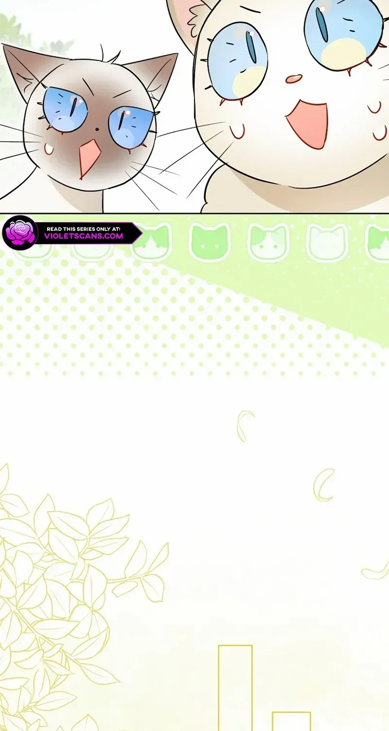 Even Though I Transmigrated as a Villainess, I’d Rather Raise a Cat Chapter 44 page 56 - 