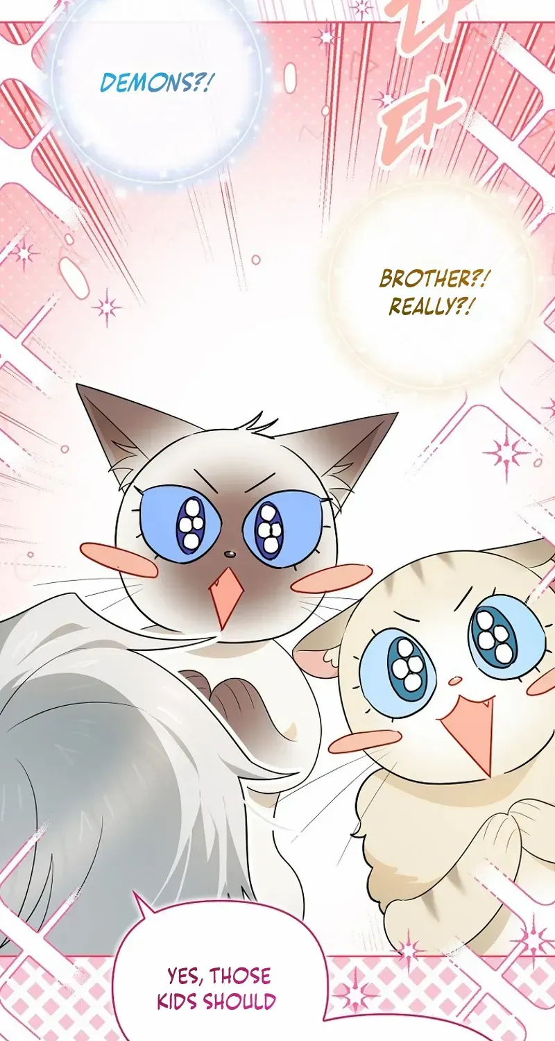 Even Though I Transmigrated as a Villainess, I’d Rather Raise a Cat Chapter 45 page 16 - 