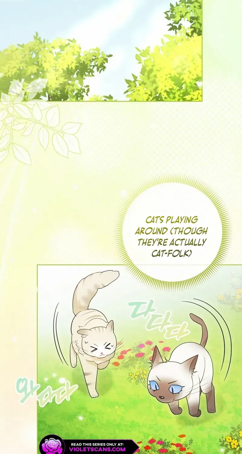 Even Though I Transmigrated as a Villainess, I’d Rather Raise a Cat Chapter 45 page 5 - 