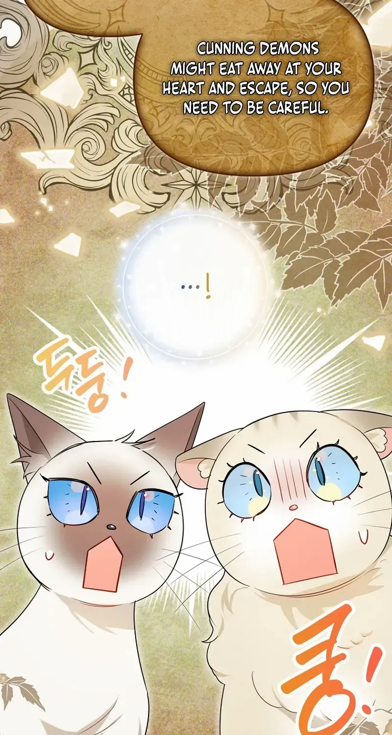 Even Though I Transmigrated as a Villainess, I’d Rather Raise a Cat Chapter 45 page 49 - 