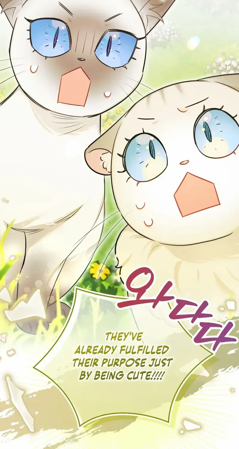 Even Though I Transmigrated as a Villainess, I’d Rather Raise a Cat Chapter 45 page 56 - 