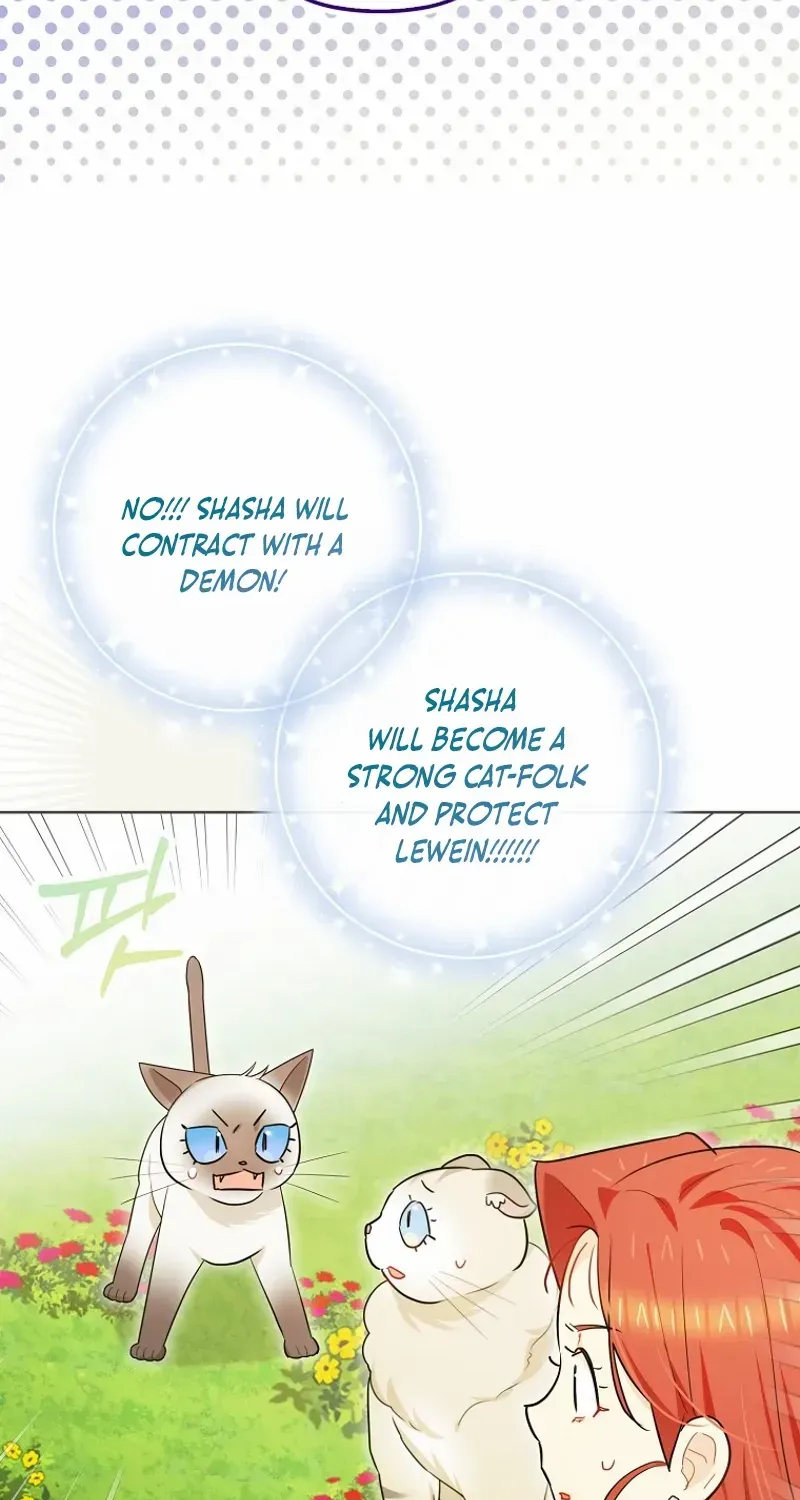 Even Though I Transmigrated as a Villainess, I’d Rather Raise a Cat Chapter 45 page 61 - 