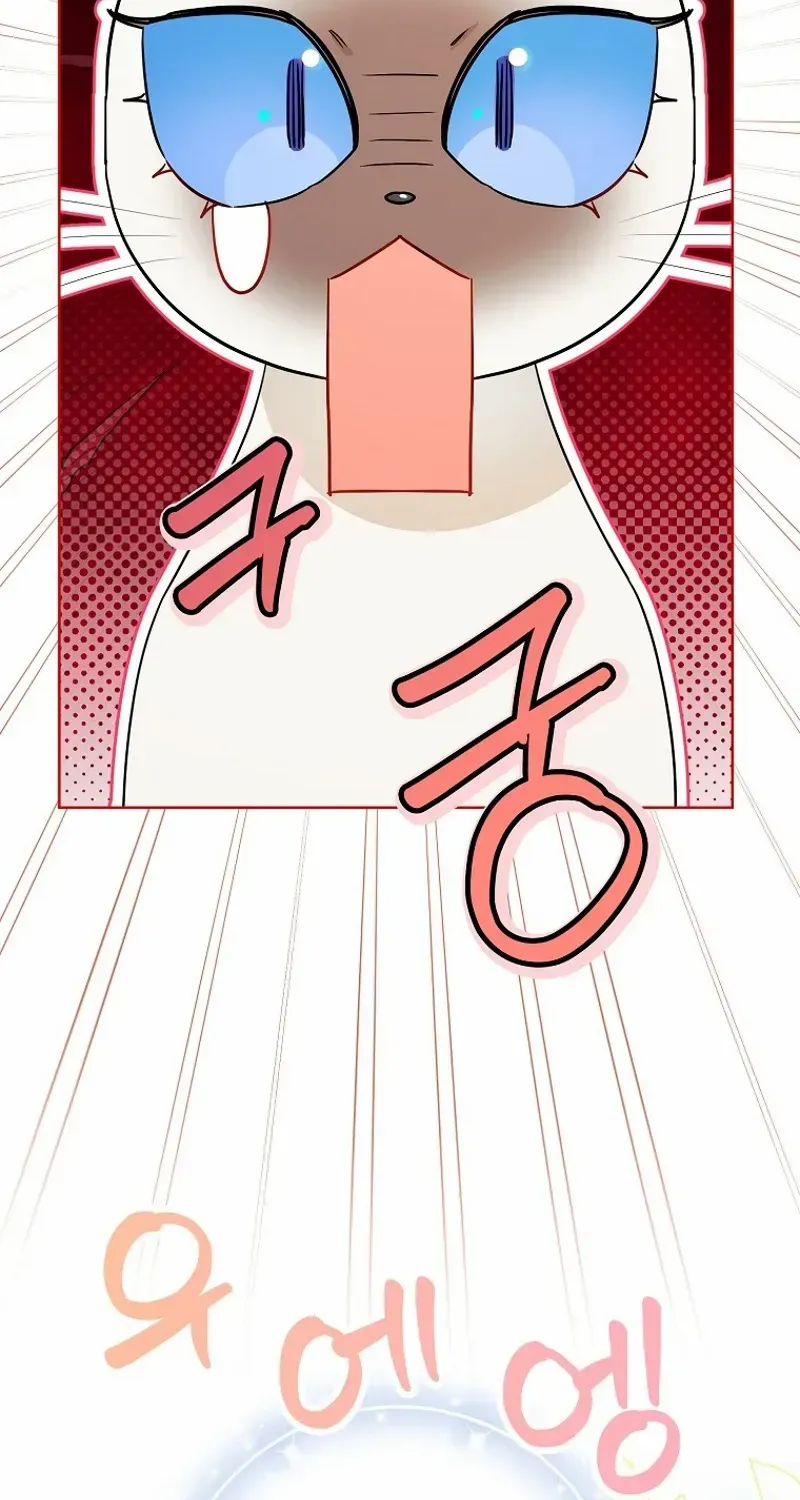 Even Though I Transmigrated as a Villainess, I’d Rather Raise a Cat Chapter 45 page 63 - 