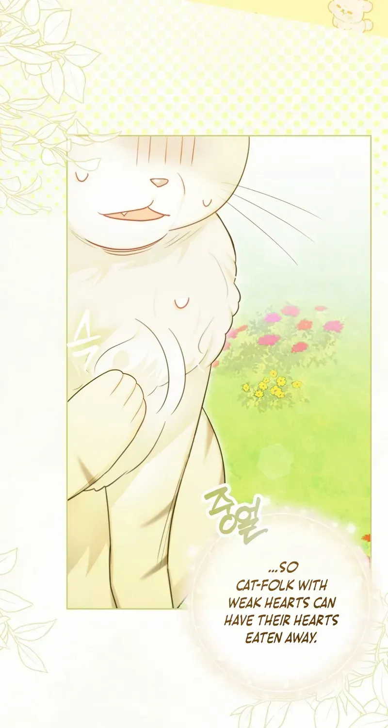 Even Though I Transmigrated as a Villainess, I’d Rather Raise a Cat Chapter 45 page 67 - 