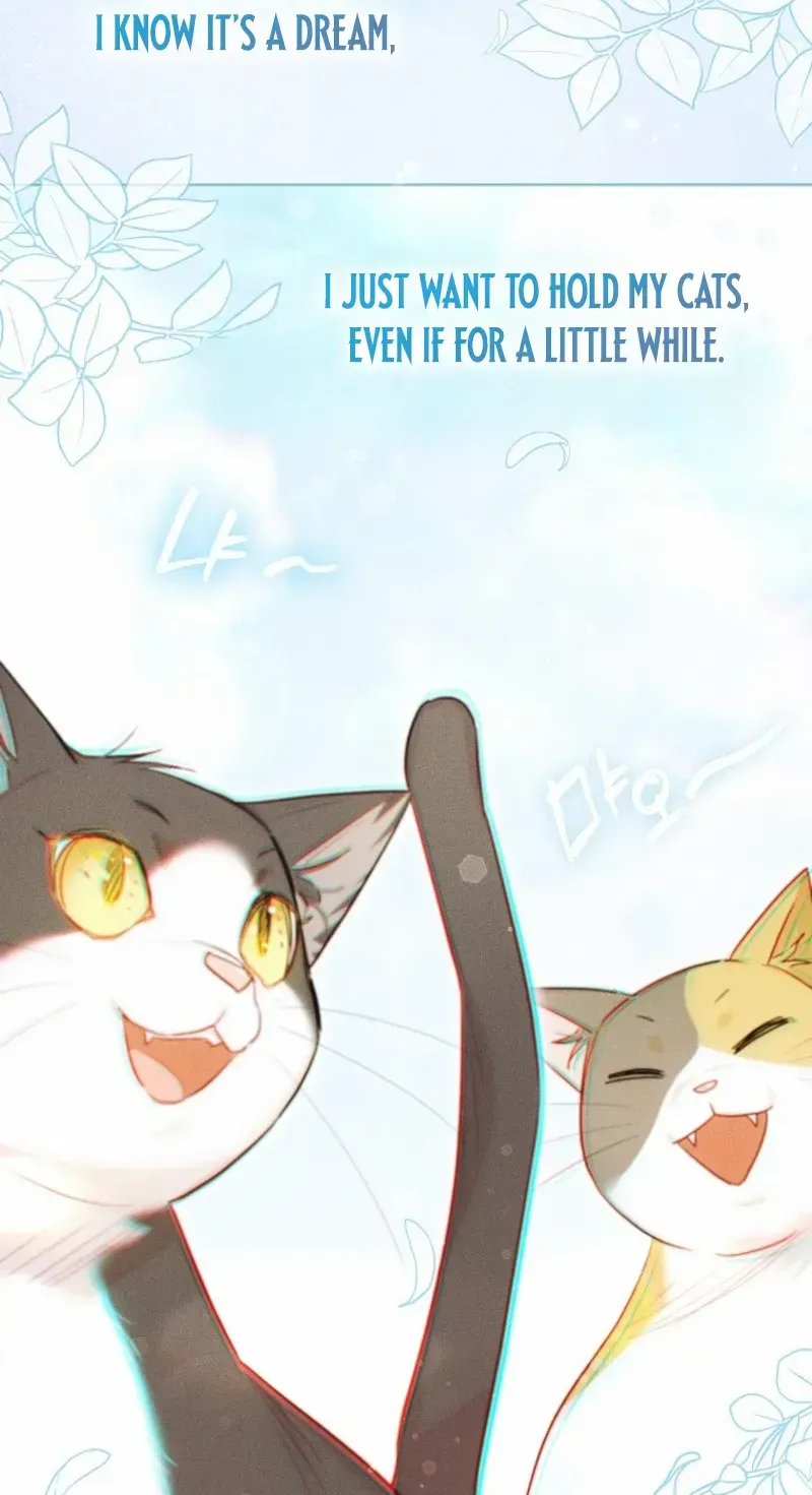 Even Though I Transmigrated as a Villainess, I’d Rather Raise a Cat Chapter 46 page 11 - 