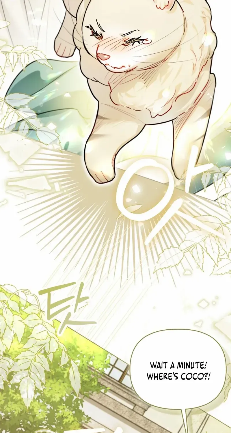Even Though I Transmigrated as a Villainess, I’d Rather Raise a Cat Chapter 46 page 87 - 