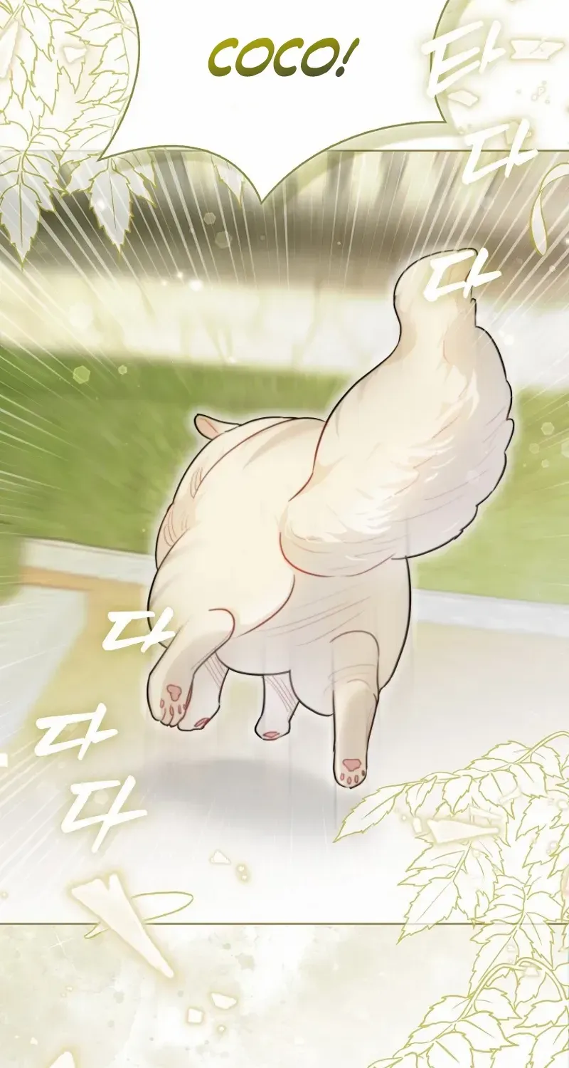 Even Though I Transmigrated as a Villainess, I’d Rather Raise a Cat Chapter 46 page 89 - 