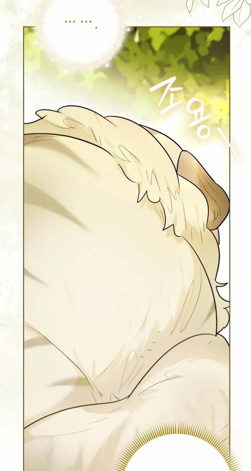 Even Though I Transmigrated as a Villainess, I’d Rather Raise a Cat Chapter 47 page 16 - 