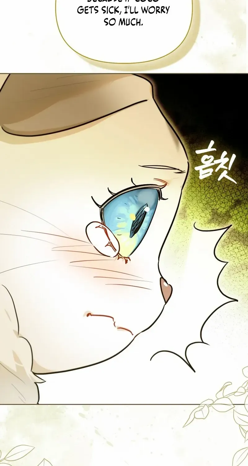 Even Though I Transmigrated as a Villainess, I’d Rather Raise a Cat Chapter 47 page 19 - 