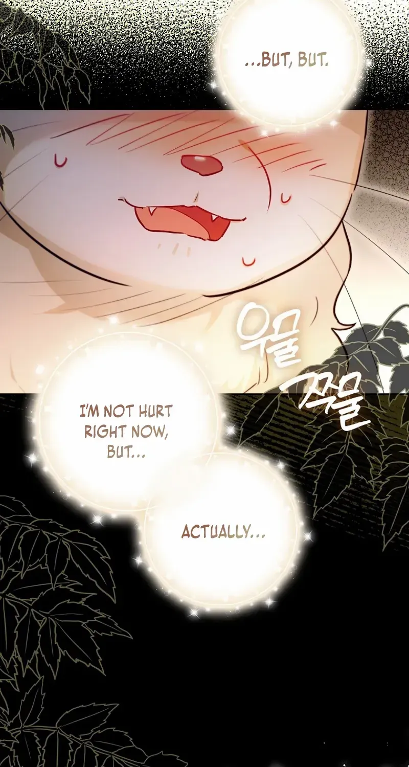 Even Though I Transmigrated as a Villainess, I’d Rather Raise a Cat Chapter 47 page 24 - 