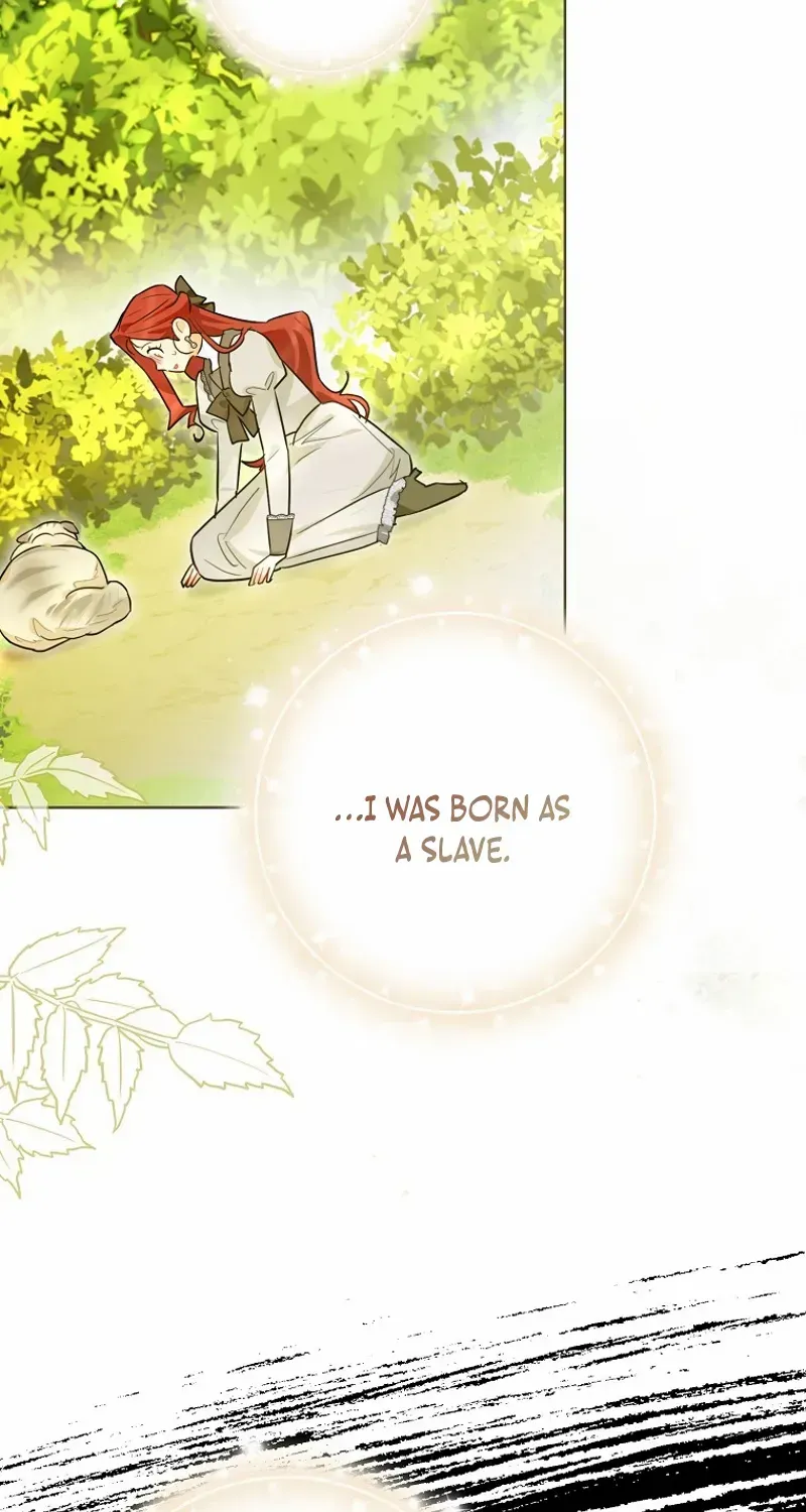 Even Though I Transmigrated as a Villainess, I’d Rather Raise a Cat Chapter 47 page 30 - 