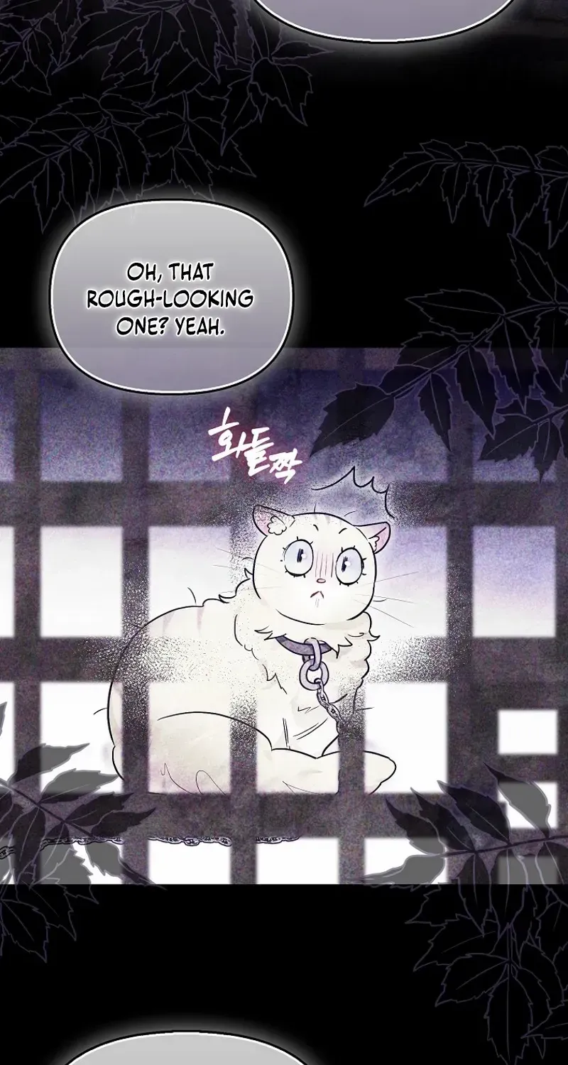 Even Though I Transmigrated as a Villainess, I’d Rather Raise a Cat Chapter 47 page 4 - 