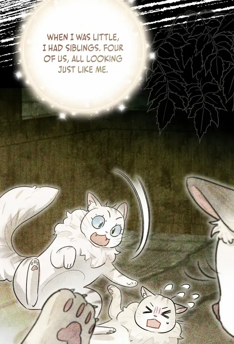 Even Though I Transmigrated as a Villainess, I’d Rather Raise a Cat Chapter 47 page 31 - 