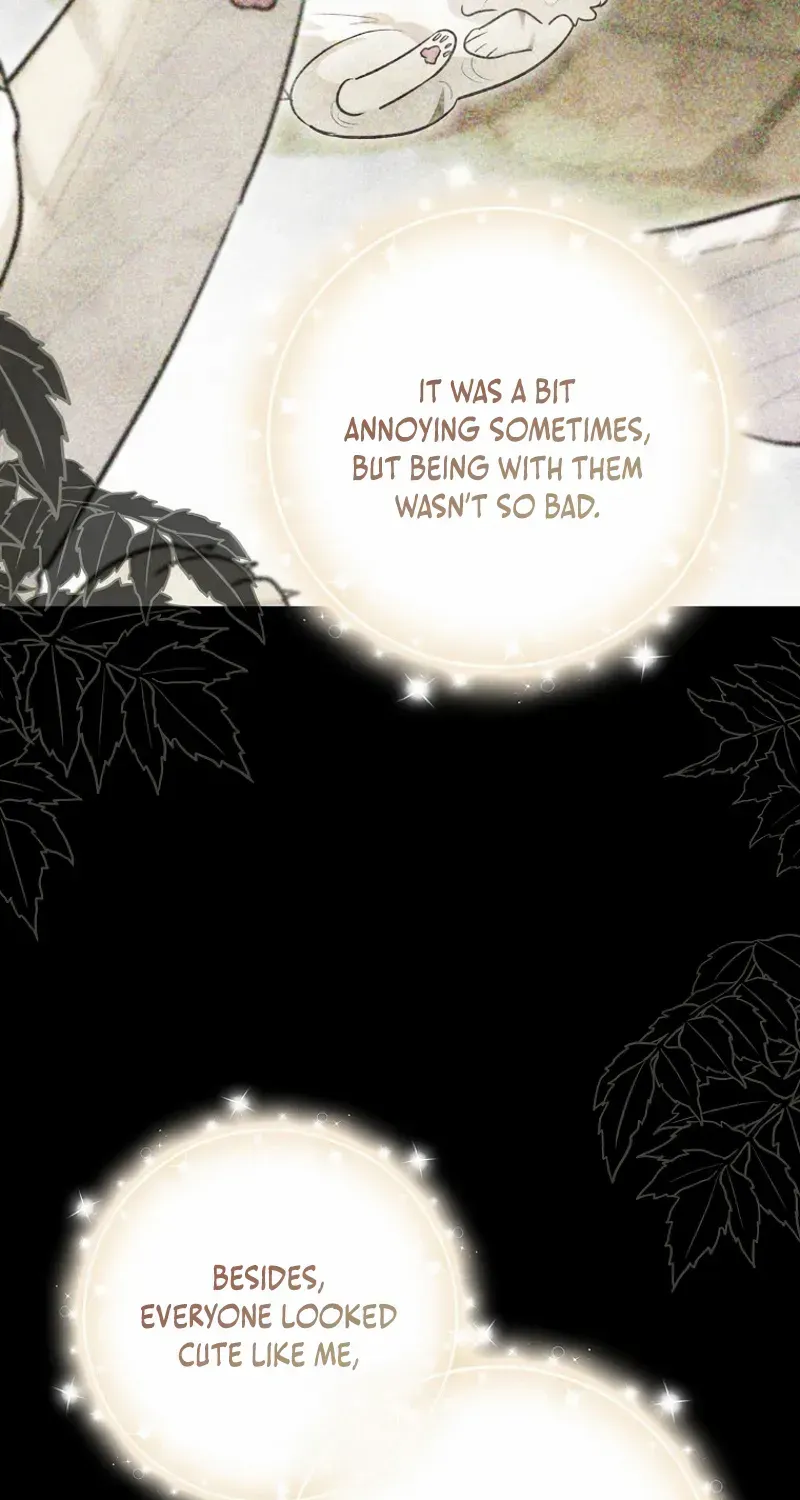 Even Though I Transmigrated as a Villainess, I’d Rather Raise a Cat Chapter 47 page 32 - 