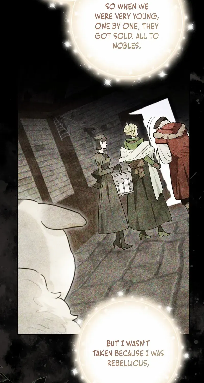 Even Though I Transmigrated as a Villainess, I’d Rather Raise a Cat Chapter 47 page 33 - 
