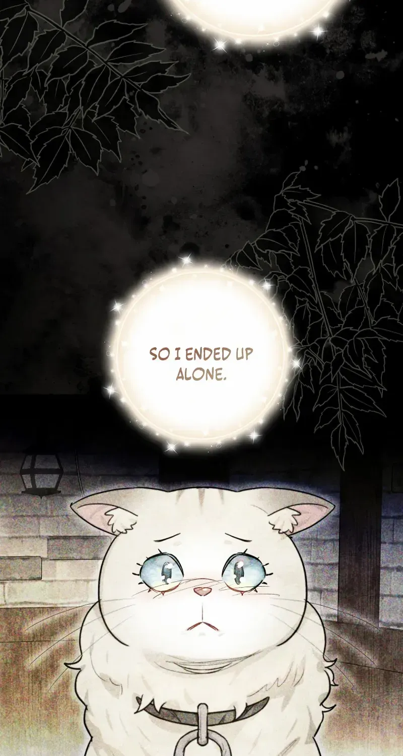 Even Though I Transmigrated as a Villainess, I’d Rather Raise a Cat Chapter 47 page 34 - 