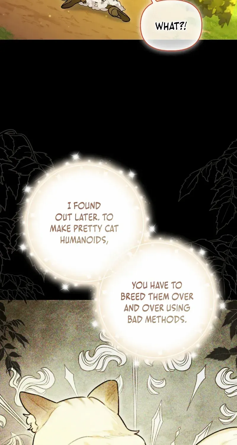 Even Though I Transmigrated as a Villainess, I’d Rather Raise a Cat Chapter 47 page 38 - 