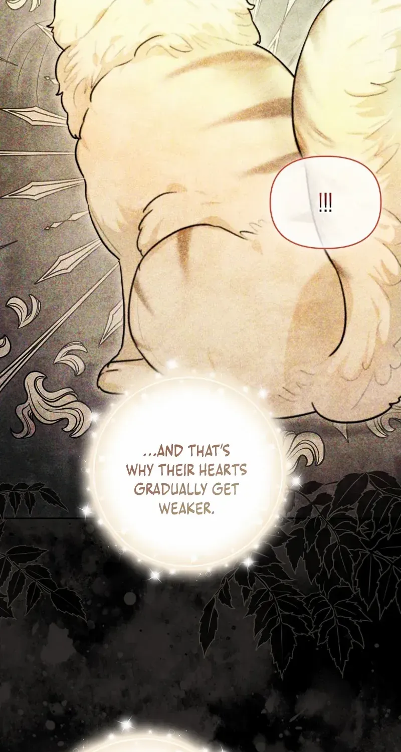 Even Though I Transmigrated as a Villainess, I’d Rather Raise a Cat Chapter 47 page 39 - 
