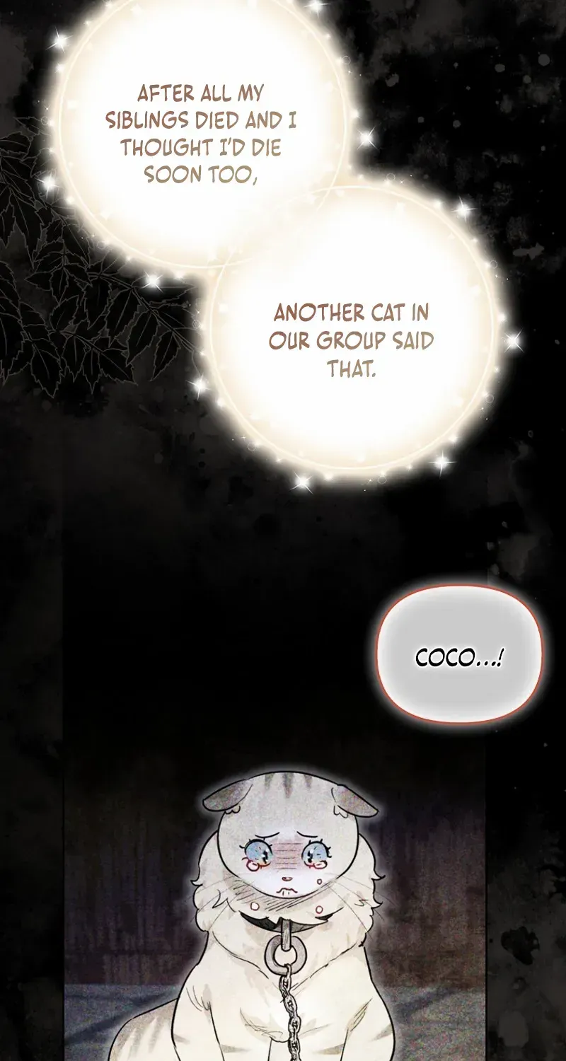 Even Though I Transmigrated as a Villainess, I’d Rather Raise a Cat Chapter 47 page 40 - 