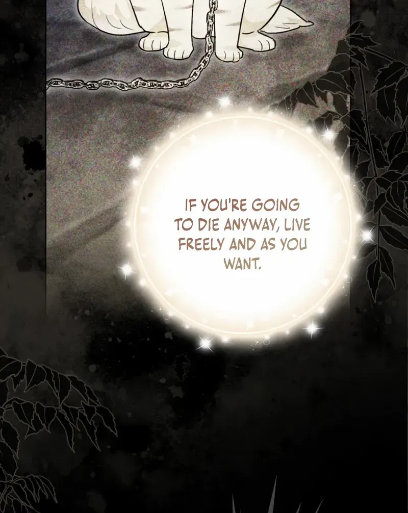 Even Though I Transmigrated as a Villainess, I’d Rather Raise a Cat Chapter 47 page 41 - 