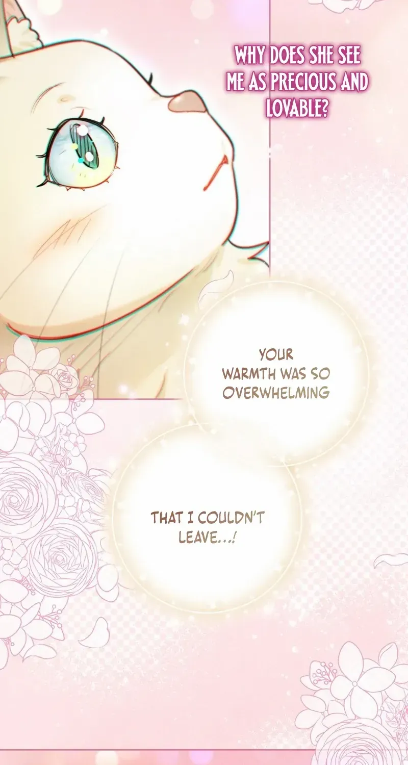 Even Though I Transmigrated as a Villainess, I’d Rather Raise a Cat Chapter 47 page 47 - 