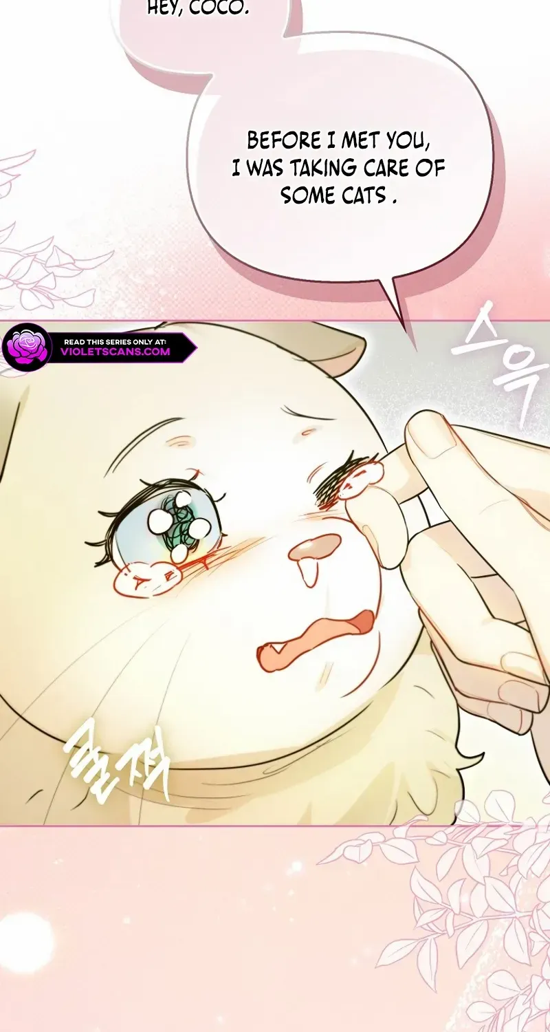Even Though I Transmigrated as a Villainess, I’d Rather Raise a Cat Chapter 47 page 55 - 