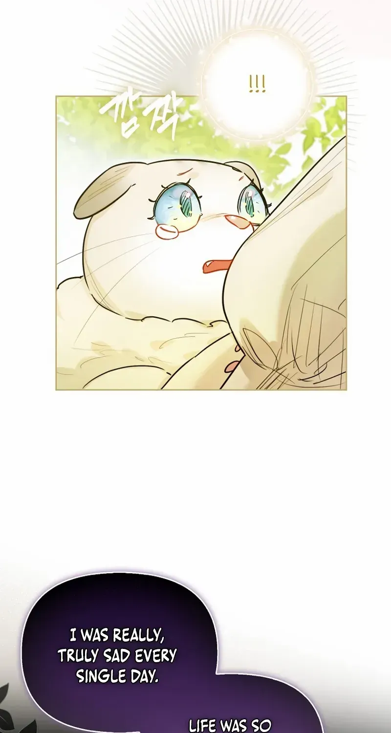 Even Though I Transmigrated as a Villainess, I’d Rather Raise a Cat Chapter 47 page 58 - 
