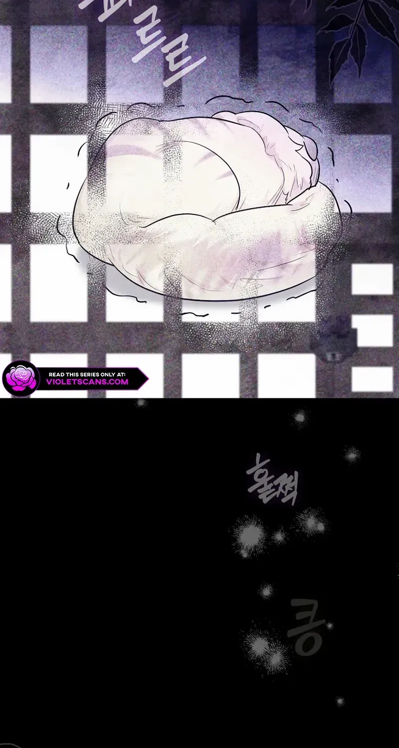 Even Though I Transmigrated as a Villainess, I’d Rather Raise a Cat Chapter 47 page 7 - 
